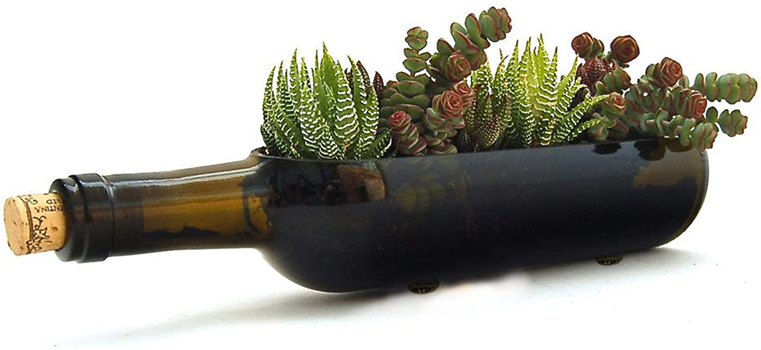 bottle succulent planter Axiam Succulent Planter
