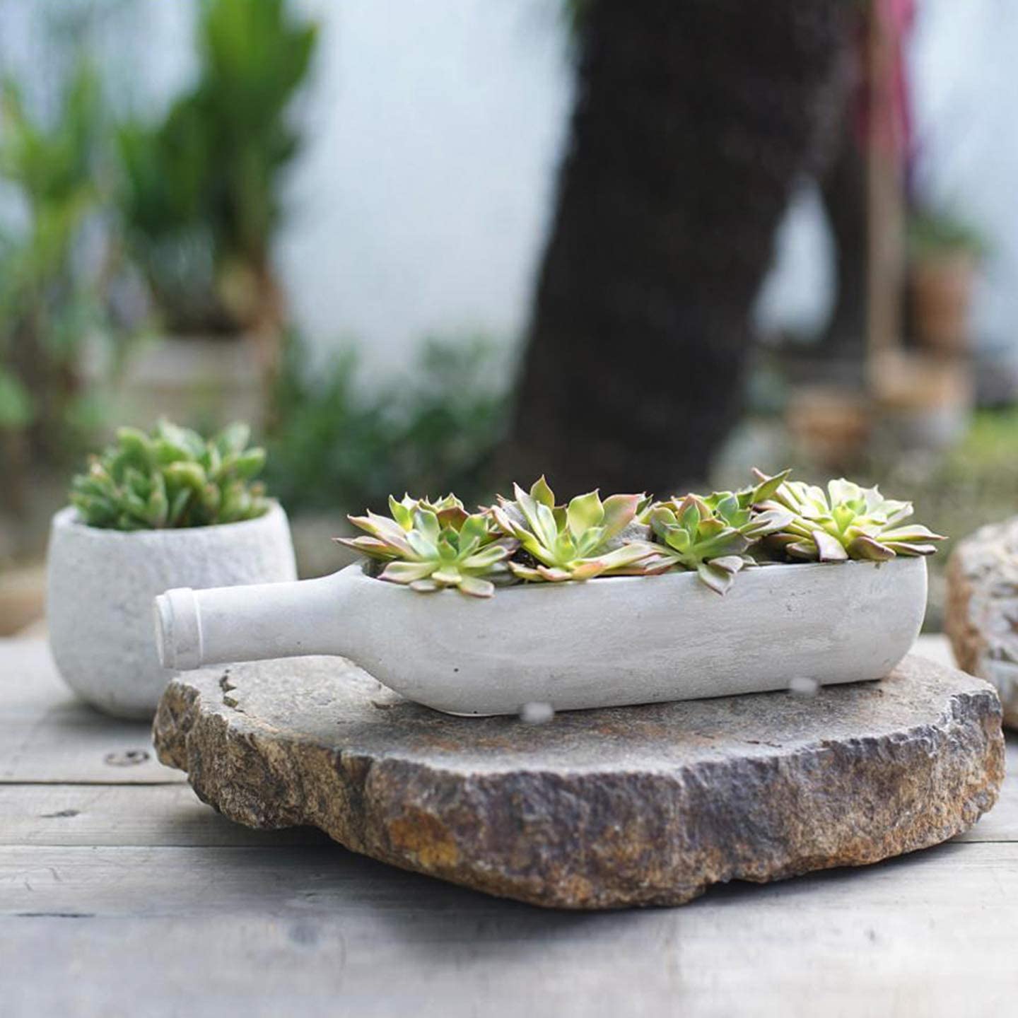 bottle succulent planter Axiam Succulent Planter