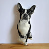 SILKSCREEN BOSTON TERRIER PILLOW
