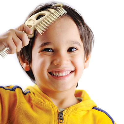 DINO BONEHEAD FOLDING BRUSH AND COMB