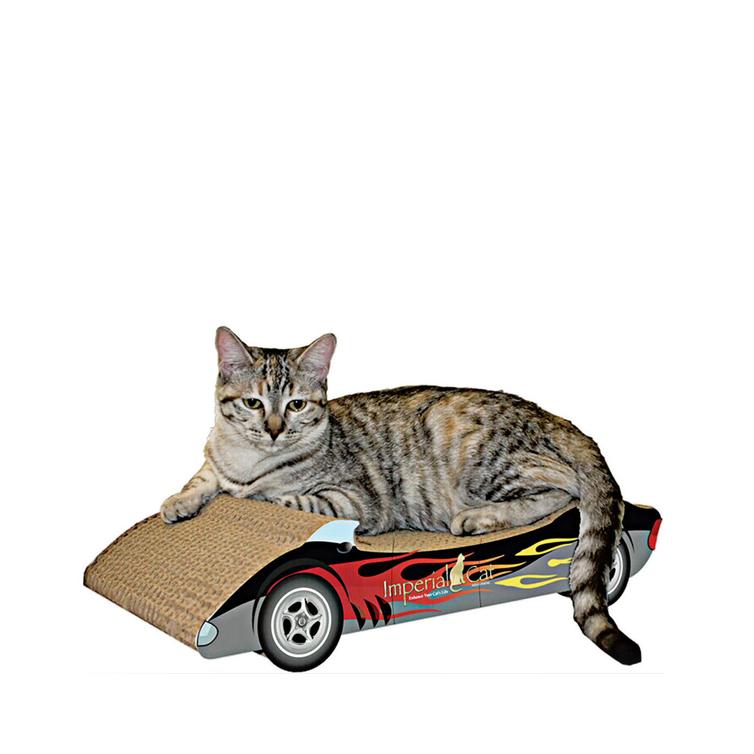 CAT SPORTY CONVERTABLE SCRATCH 'N SHAPE