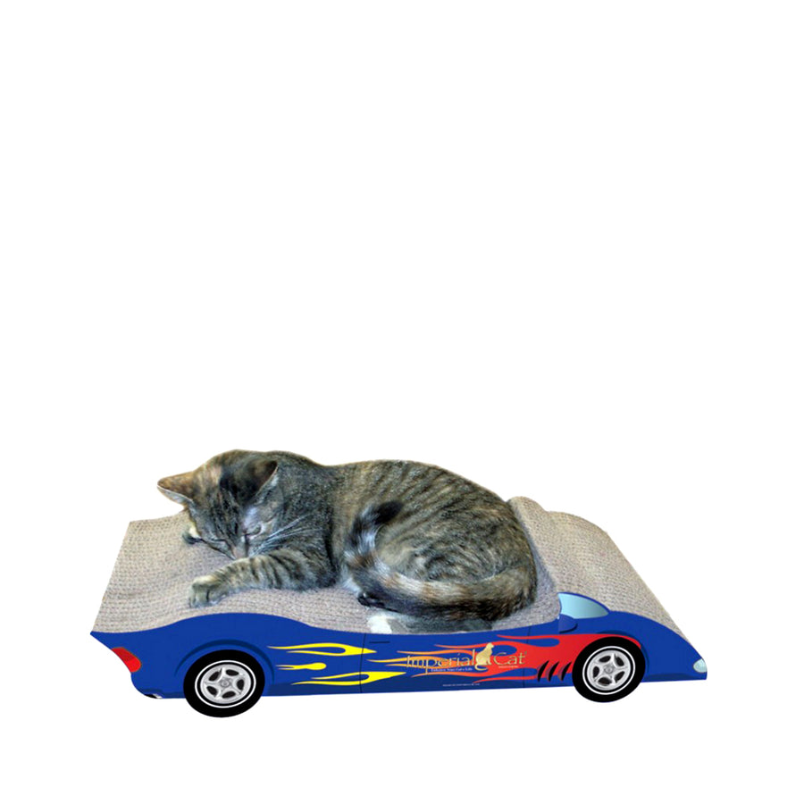 CAT SPORTY CONVERTABLE SCRATCH 'N SHAPE